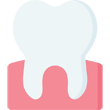 Top Bachelor of Dental Surgery (BDS) Colleges